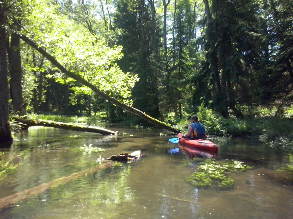 unsere Kanus auf dem Fluss Brda in Pommern Polen