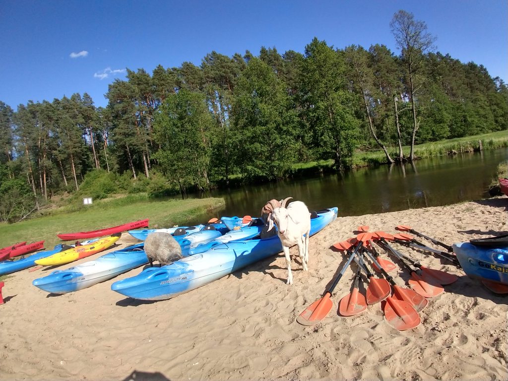 unsere Kanus auf dem Fluss Brda in Pommern