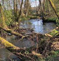 Blick auf den Fluss Grabowa