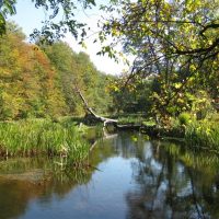 Blick auf einen schönen Fluss Korytnica