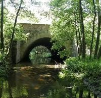 Blick auf den Fluss Płytnica