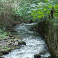 Paddeln auf dem Fluss Słupia in einem Kanu in Polen