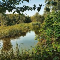 Kanufahren auf dem Wierzyca-Fluss in Polen