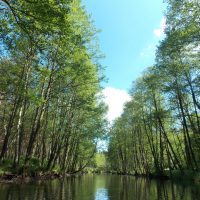 Paddeln auf dem Fluss Zbrzyca in einem Kanu