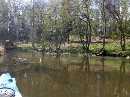 Fluss Wda in Polen, Polcanoe Polen